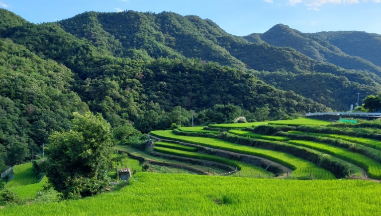 瀬戸内の島々のイメージ写真